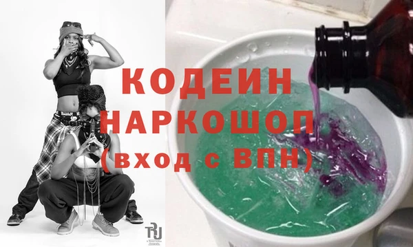 молекула духа Богданович