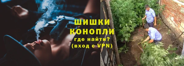 дурь Арсеньев