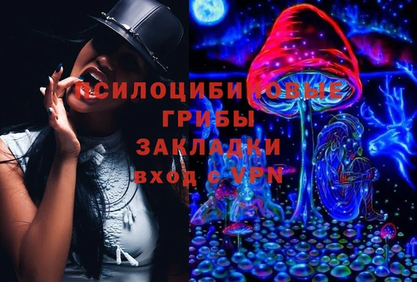 дурь Арсеньев